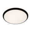 Потолочный светильник Freya Pie FR6086CL-L117B