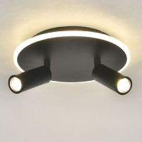 Настенно-потолочный светильник Escada 20046SMA/02LED BK