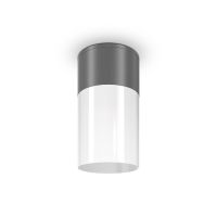 Уличный потолочный светильник Maytoni Willis O418CL-01GR