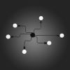 Потолочная люстра ST Luce Ano SL419.442.06