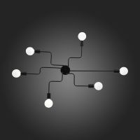 Потолочная люстра ST Luce Ano SL419.442.06