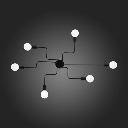 Потолочная люстра ST Luce Ano SL419.442.06