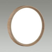 Настенно-потолочный светильник Sonex Pale Woodi 7603/ELN