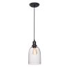 Подвесной светильник Loft IT Loft1814