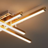 Потолочный светильник Freya Twiks FR6198CL-L88G