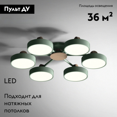 Потолочная люстра ImperiumLoft Move 178254-26