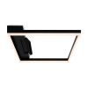 Потолочный светильник Freya Frame FR6084CL-L82B