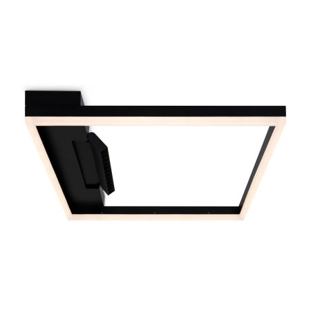 Потолочный светильник Freya Frame FR6084CL-L82B