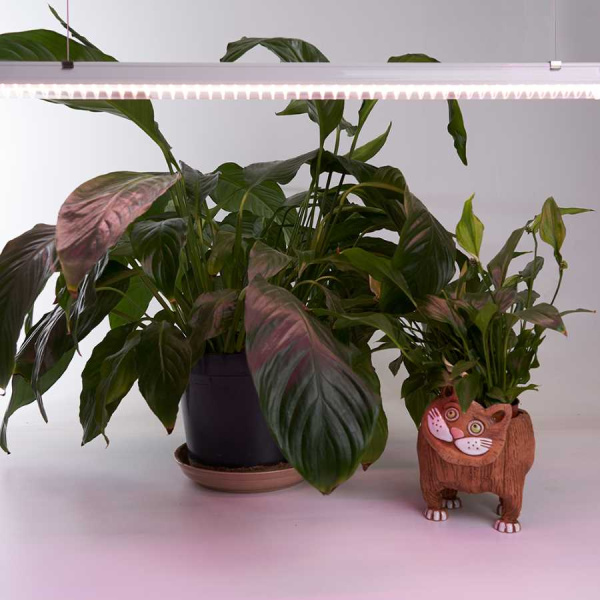 Светодиодный светильник для растений Feron AL7002 41356