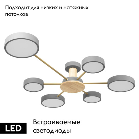 Потолочная люстра Loft IT Sunrise 10316/6 Grey