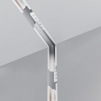 Коннектор внутренний для шинопровода Maytoni Exility TRAM034ICL-42W