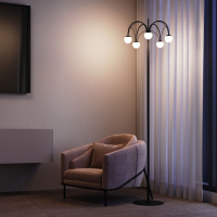 Торшер Eurosvet Ragno 90194 черный a070272