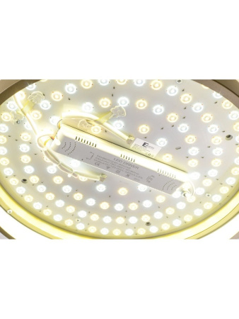 Потолочный светильник Zortes Gerda ZRS.1097.50