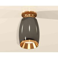Комплект накладного светильника Ambrella light Techno Spot XS1123043 DCH/PYG черный хром/золото желтое полированное (N6905, C1123, N7034)