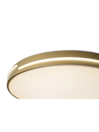 Потолочный светильник Zortes Gabby ZRS.90610.50