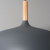 Подвесной светильник Arte Lamp Kayla A7099SP-1GY