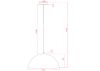 Подвесной светильник Arte Lamp Carmel A7105SP-1BK