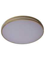 Потолочный светильник Zortes Gabby ZRS.90610.50