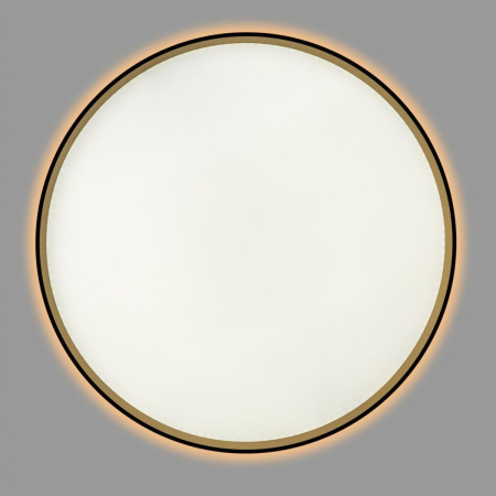 Потолочный светильник Citilux Etalon CL750501R