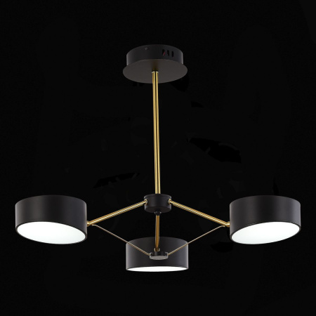 Потолочный светильник Evoluce Valle SLE6005-402-03