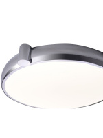 Потолочный светильник Zortes Gimpel ZRS.1209.16