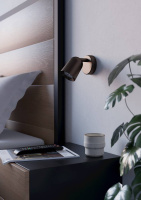 Спот Eglo Camaldoli 901948