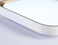 Потолочный светильник Ambrella Light Orbital Air FZ1259