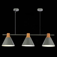 Подвесной светильник Evoluce Modica SLE125113-03