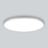 Потолочный светильник Citilux Norma CL748600
