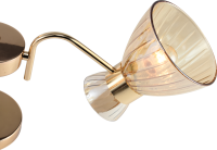 Люстра на штанге Rivoli Victoria 9183-303