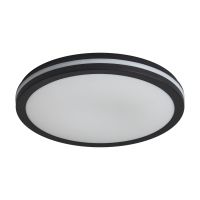 Потолочный светильник Freya Rua FR6160CL-L40B