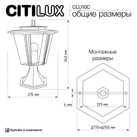 Ландшафтный светильник Citilux Forts CLU10C