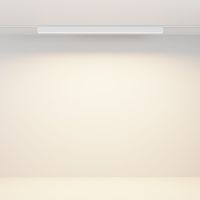 Трековый магнитный светильник Maytoni Technical Basis Radity TR080-4-20WTW-W