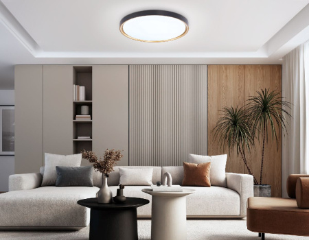 Потолочный светильник Ambrella Light Orbital Air FZ1249