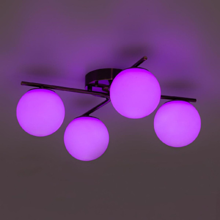 Потолочная люстра Citilux Адам смарт CL228A143