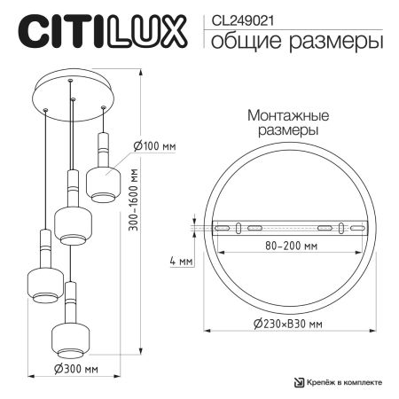 Подвесной светильник Citilux Lass CL249021