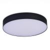 Потолочный светильник ST Luce ST606.442.48