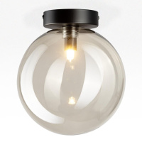 Потолочный светильник Citilux Orton CL202511