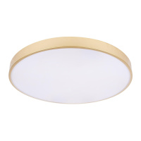 Потолочный светильник Loft IT Flims 10228/B