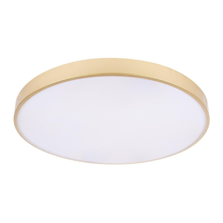 Потолочный светильник Loft IT Flims 10228/B