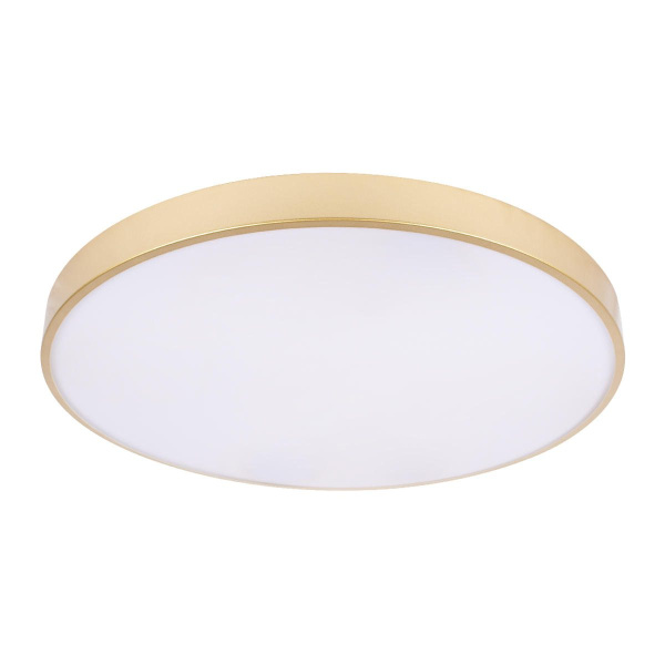 Потолочный светильник Loft IT Flims 10228/B