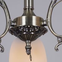 Потолочная люстра Reluce 70577-0.3-03