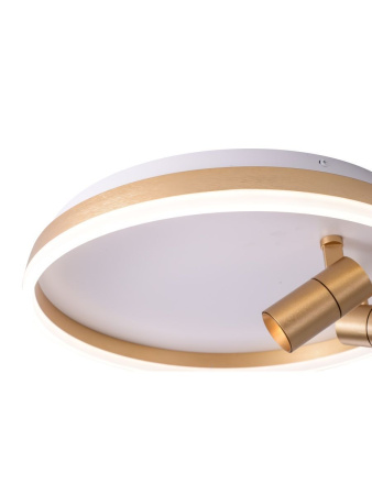 Потолочный светильник Zortes Raizy ZRS.1888.02