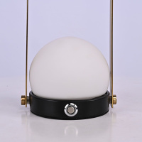 Настольная лампа ImperiumLoft Tangli 302469-22