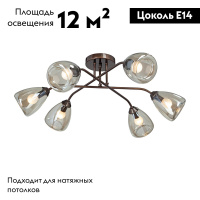 Потолочная люстра Vitaluce V4954-7/6PL