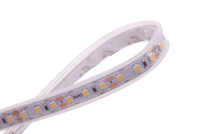 Светодиодная лента DesignLed DSG3120-12-W-65 002765