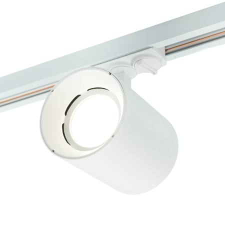 Трековый однофазный светильник Feron AL169 51849