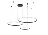 Подвесная люстра Zortes Ringolight ZRS.33321.75F