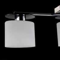 Потолочная люстра Freya Bice FR5101-CL-03-CN хром