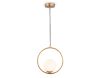 Подвесной светильник Ambrella Light Modern TR2594